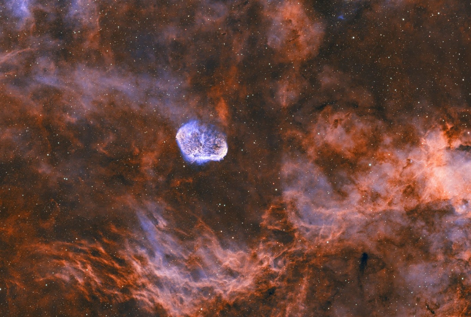 Crescent Nebula (NGC 6888) captured through deep-sky astrophotography, revealing glowing gas filaments and surrounding nebulosity
