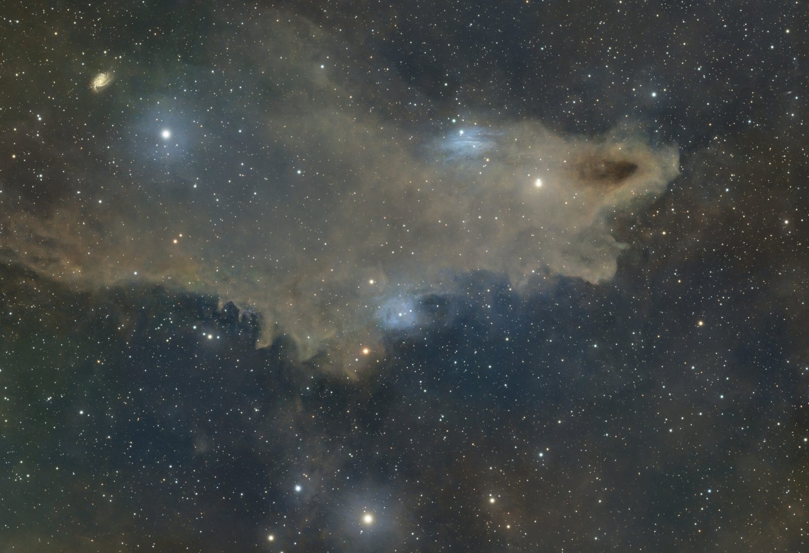 Dark Shark Nebula (LDN 1235) captured in deep-sky astrophotography, revealing dark interstellar dust and surrounding blue reflection nebulae