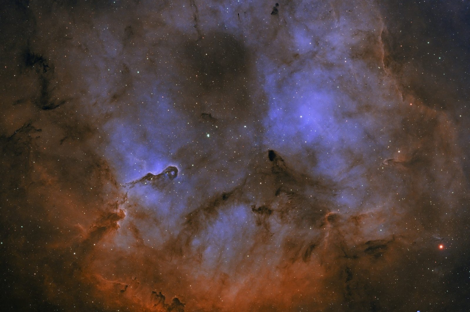 Elephant Trunk Nebula (IC 1396A) captured through deep-sky astrophotography, revealing dark dust pillars surrounded by glowing red nebulosity